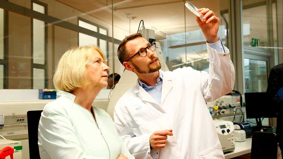 Заказать диплом кандидата наук Купить диплом кандидата наук